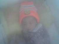 Alya 68